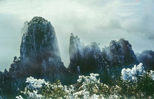 天人影像專訪 劉學玉 老驥伏櫪,志在千里,為地方攝影事業發揮余熱