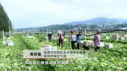 全國勞動(dòng)模范黃訓(xùn)奎 老驥伏櫪 只為鄉(xiāng)親生活更美好