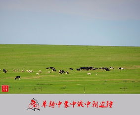 老驥伏櫪，志在千里 單騎穿越中蒙、中俄、中朝邊陲游記與攻略